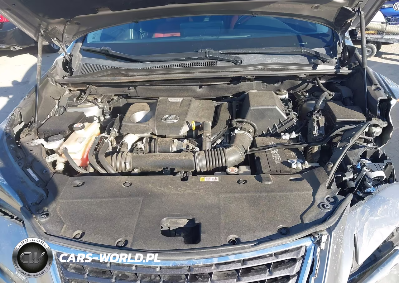 2019 Lexus Nx 300 VIN:JTJYARBZXK2148743 - 10