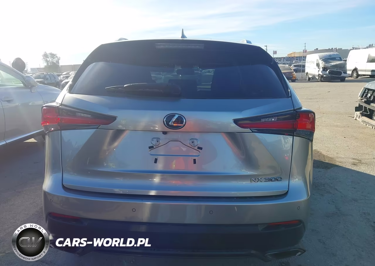 2019 Lexus Nx 300 VIN:JTJYARBZXK2148743 - 15
