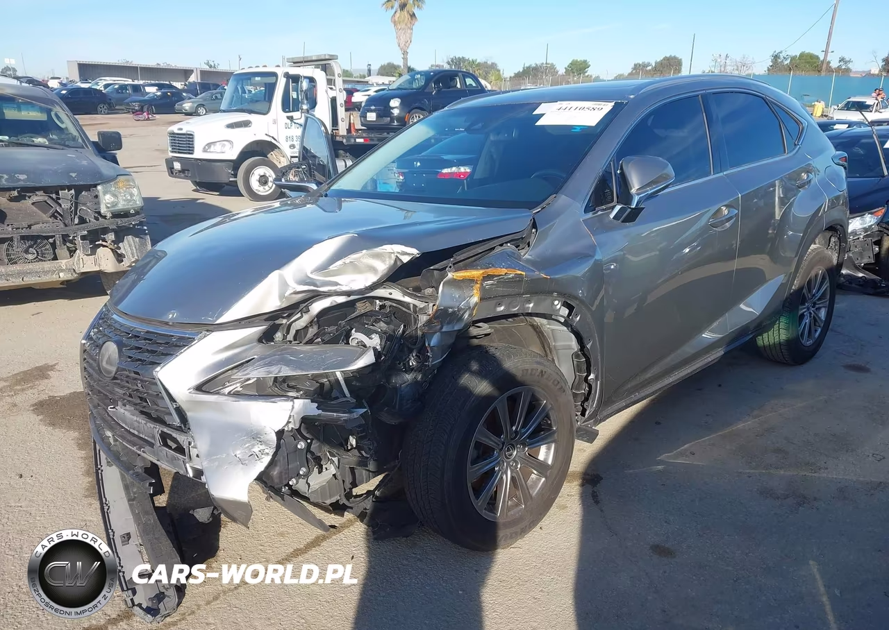 2019 Lexus Nx 300 VIN:JTJYARBZXK2148743 - 2