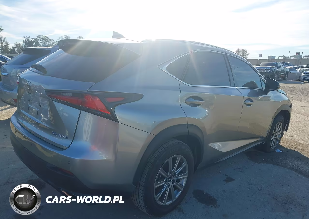 2019 Lexus Nx 300 VIN:JTJYARBZXK2148743 - 4