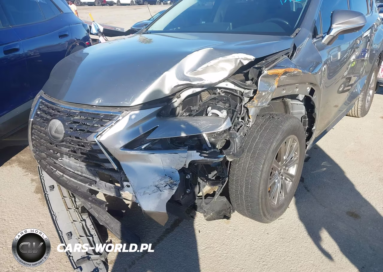 2019 Lexus Nx 300 VIN:JTJYARBZXK2148743 - 6