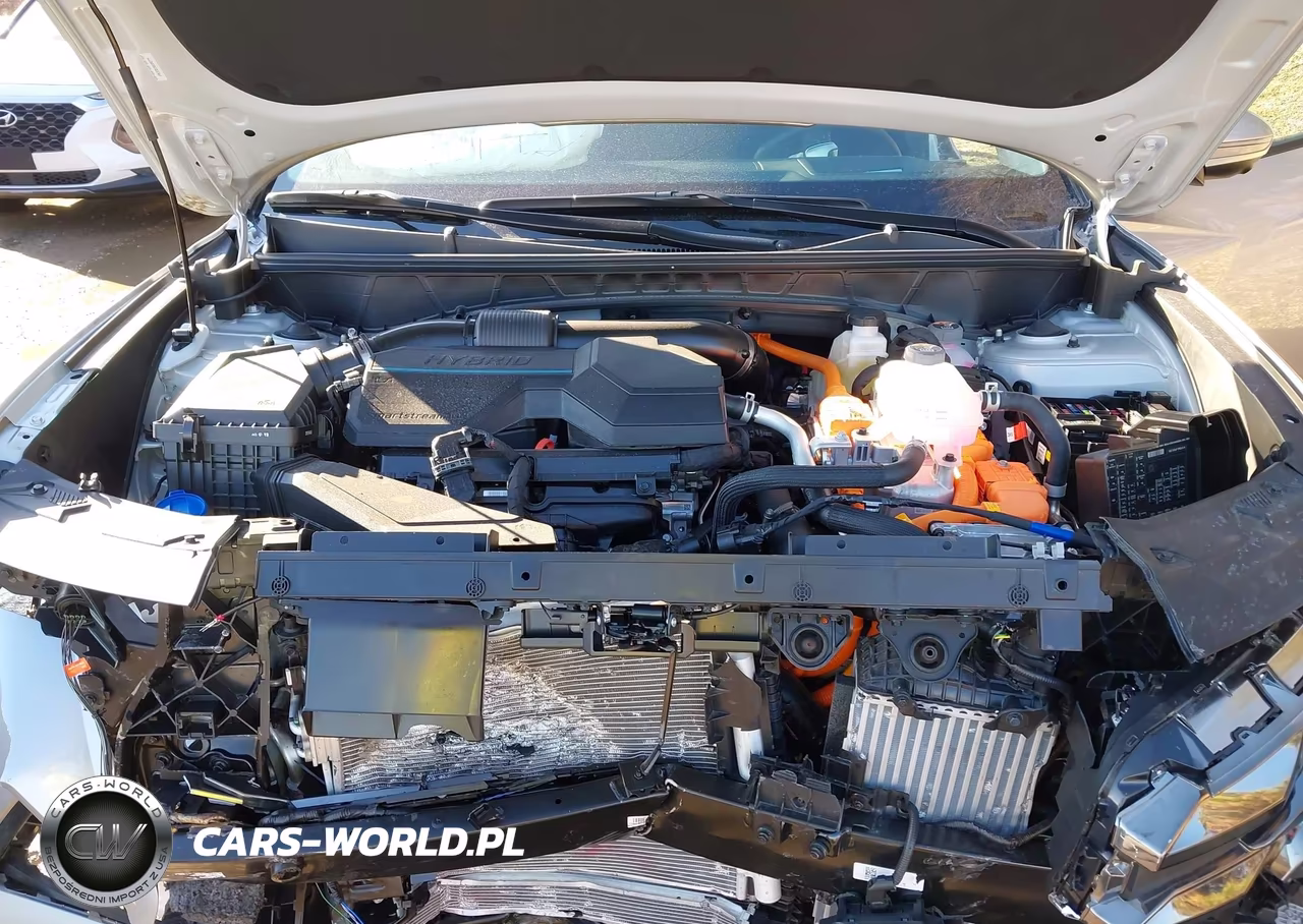 2025 Hyundai Tucson Hybrid Limited VIN:KM8JEDD19SU393777 - 10