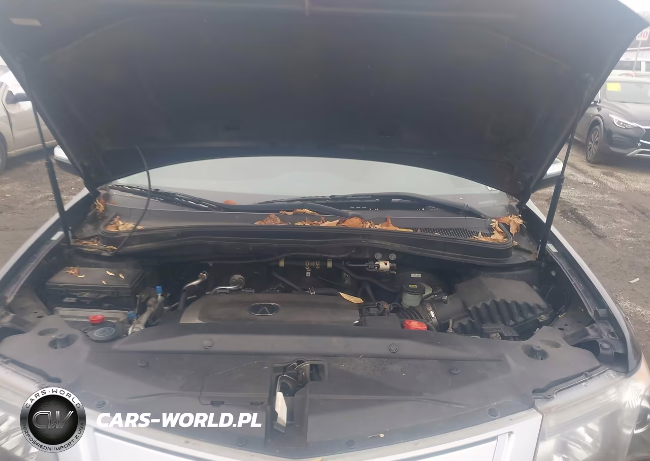 2010 Acura Mdx VIN:2HNYD2H29AH531911 - 10