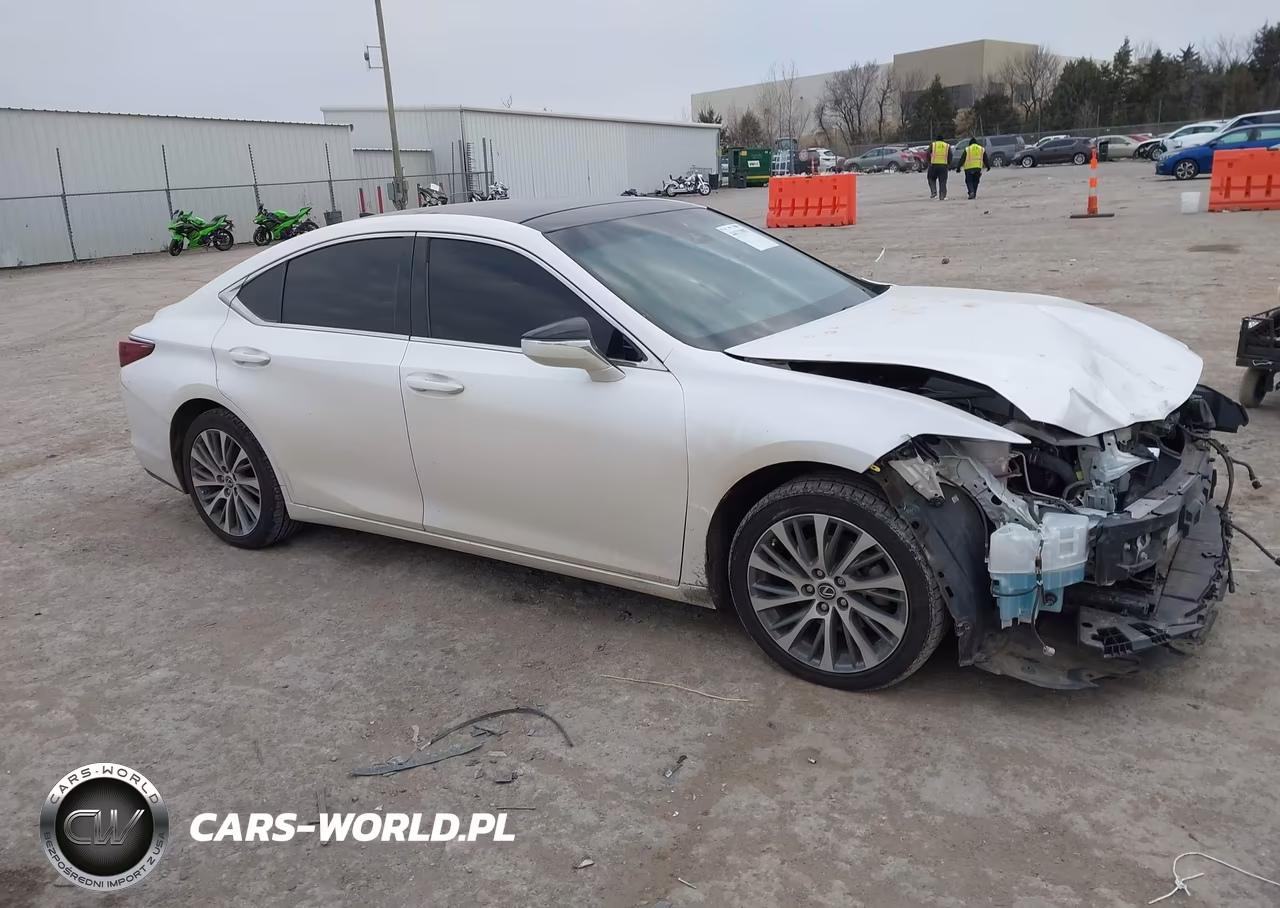 2019 Lexus Es 350 Luxury VIN:58ABZ1B19KU012335 - 14