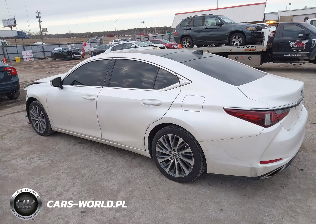 2019 Lexus Es 350 Luxury VIN:58ABZ1B19KU012335 - 15