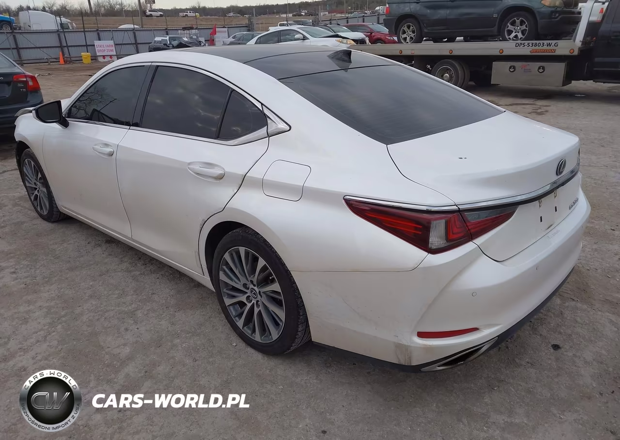 2019 Lexus Es 350 Luxury VIN:58ABZ1B19KU012335 - 3
