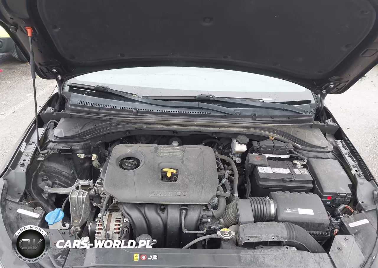 2019 Hyundai Elantra Sel VIN:KMHD84LF6KU775315 - 10