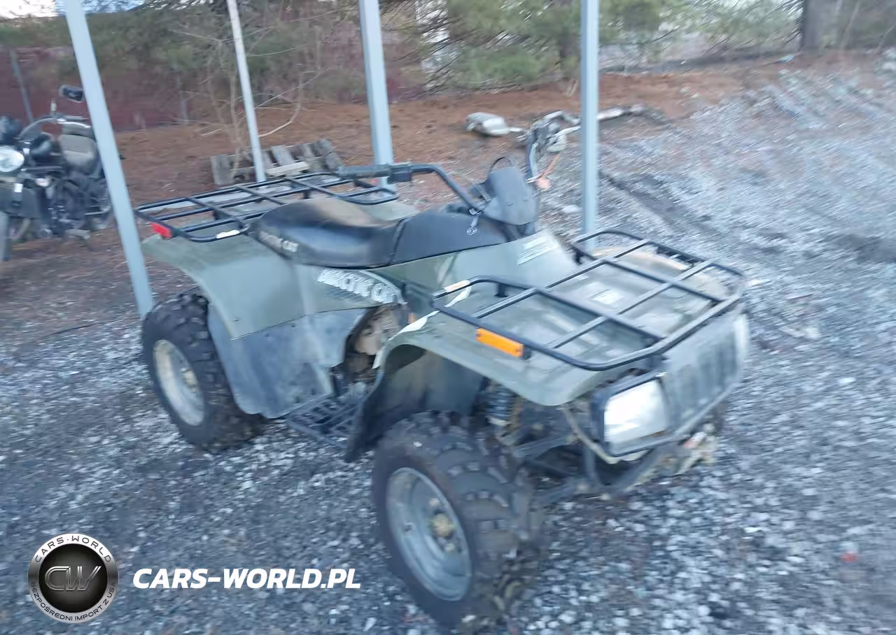 2002 Artic Cat Atv 250