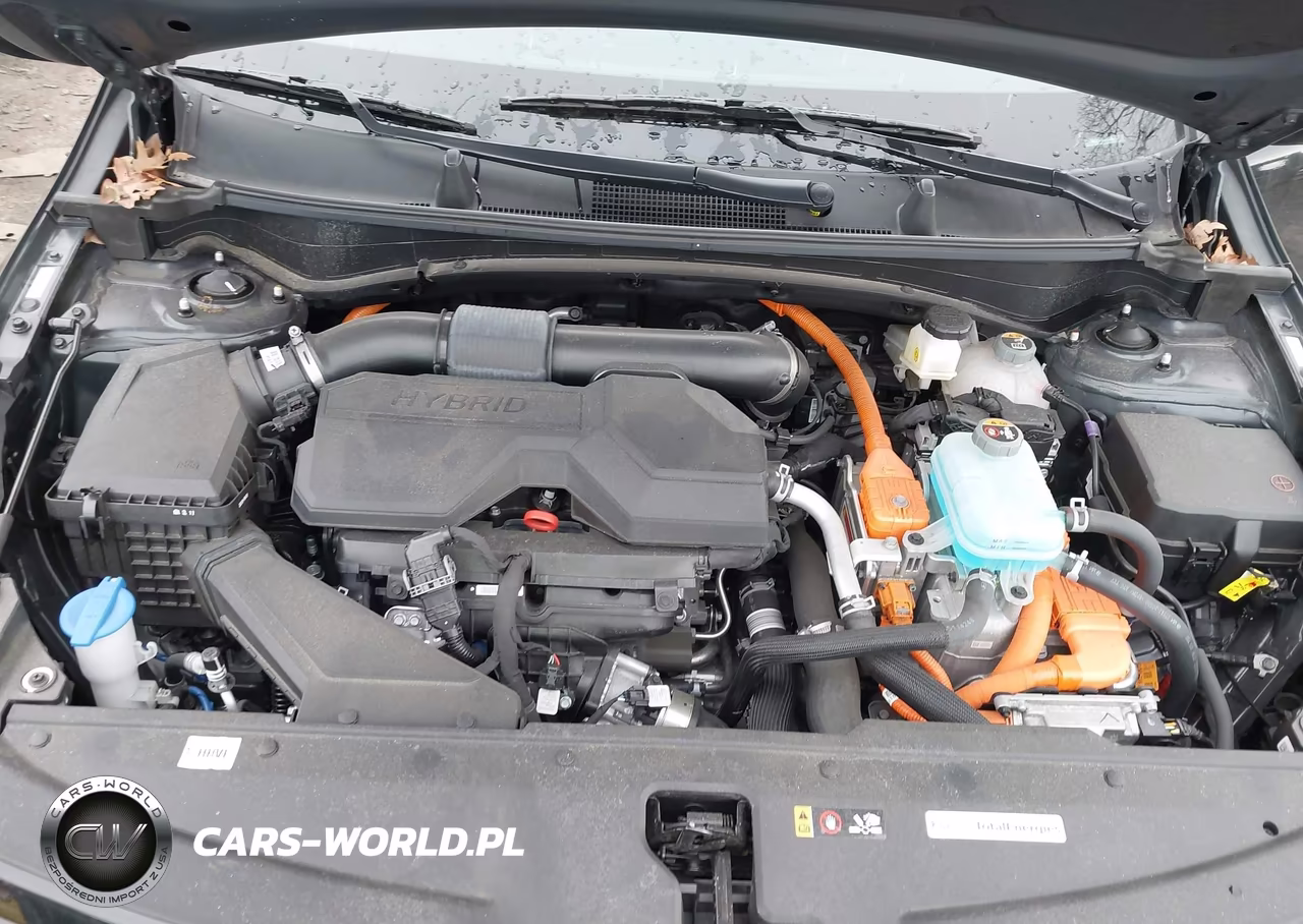 2025 Kia Sportage Plug-In Hybrid X-Line Prestige VIN:KNDPZDDH3S7204295 - 10