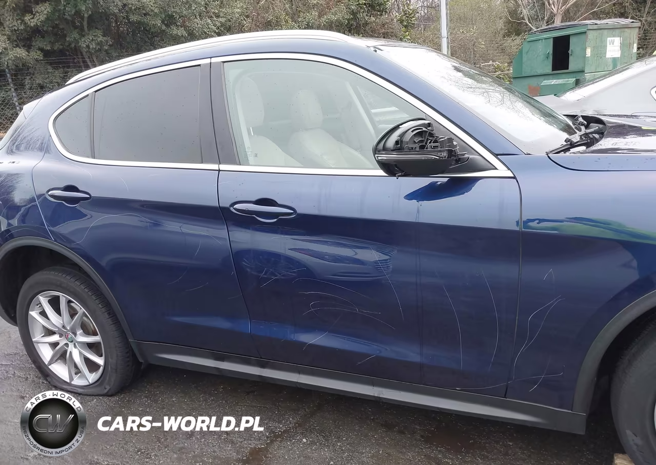 2019 Alfa Romeo Stelvio Ti Lusso Awd VIN:ZASPAKBNXK7C43106 - 6
