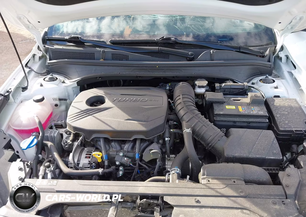 2024 Kia Forte Gt VIN:3KPF44AC7RE693636 - 10