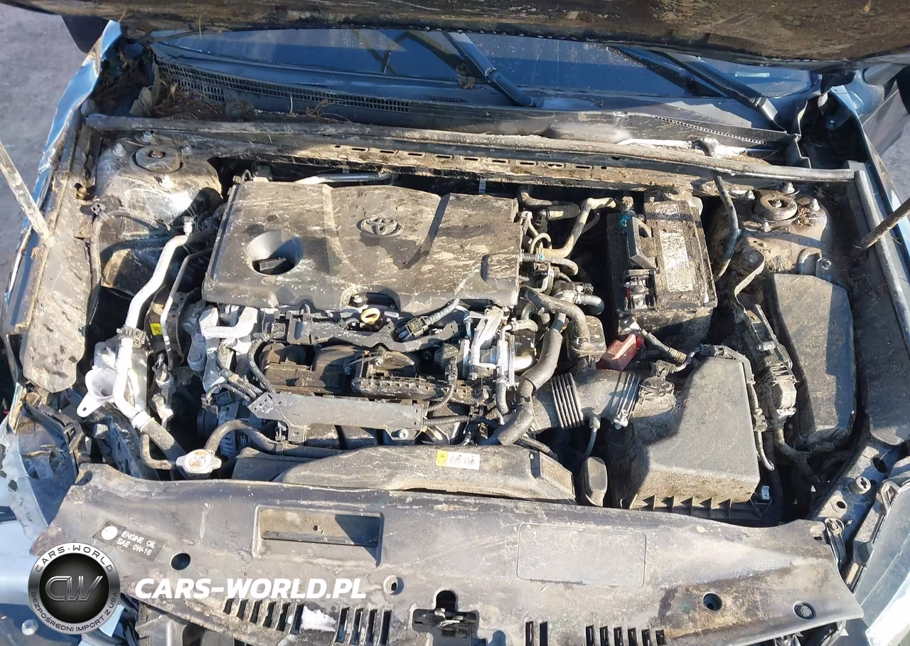 2019 Toyota Camry Se VIN:4T1B11HK3KU803281 - 10