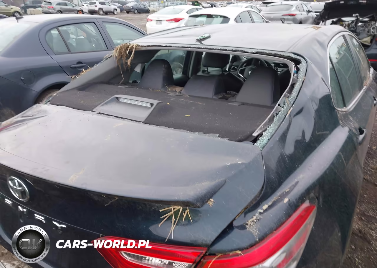2019 Toyota Camry Se VIN:4T1B11HK3KU803281 - 17