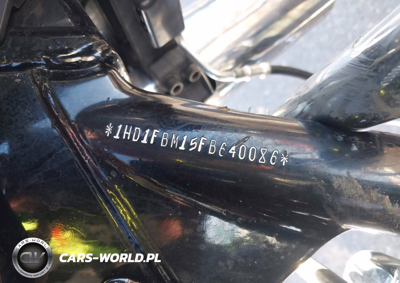 2015 Harley-Davidson Flhr Road King VIN:1HD1FBM15FB640086 - 10