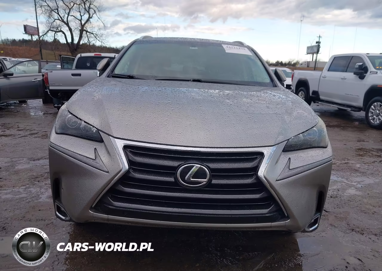 2015 Lexus Nx 200T VIN:JTJYARBZ0F2021506 - 12