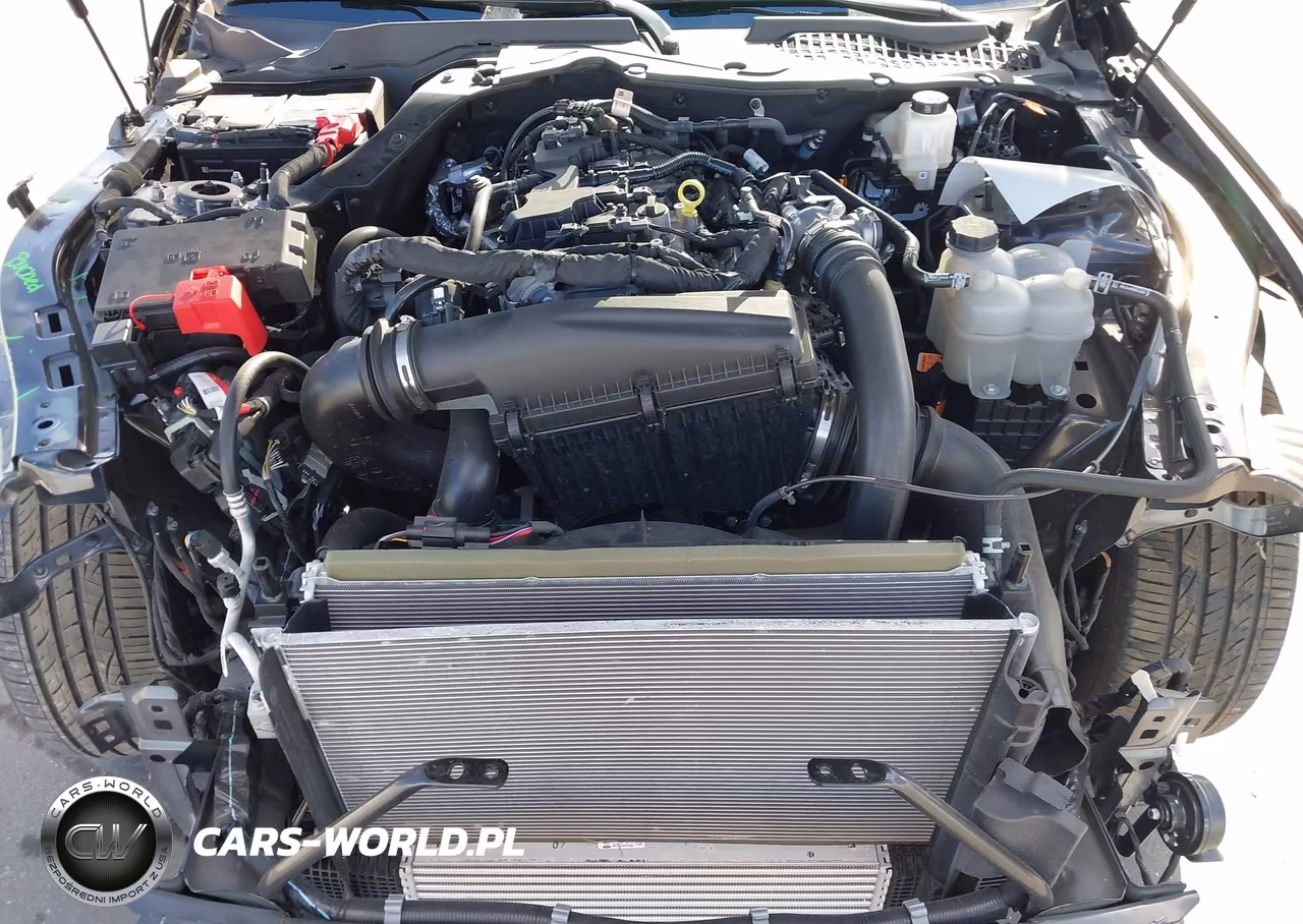 2024 Ford Mustang Ecoboost Fastback VIN:1FA6P8TH4R5109251 - 10