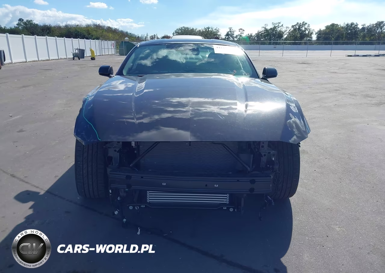 2024 Ford Mustang Ecoboost Fastback VIN:1FA6P8TH4R5109251 - 12
