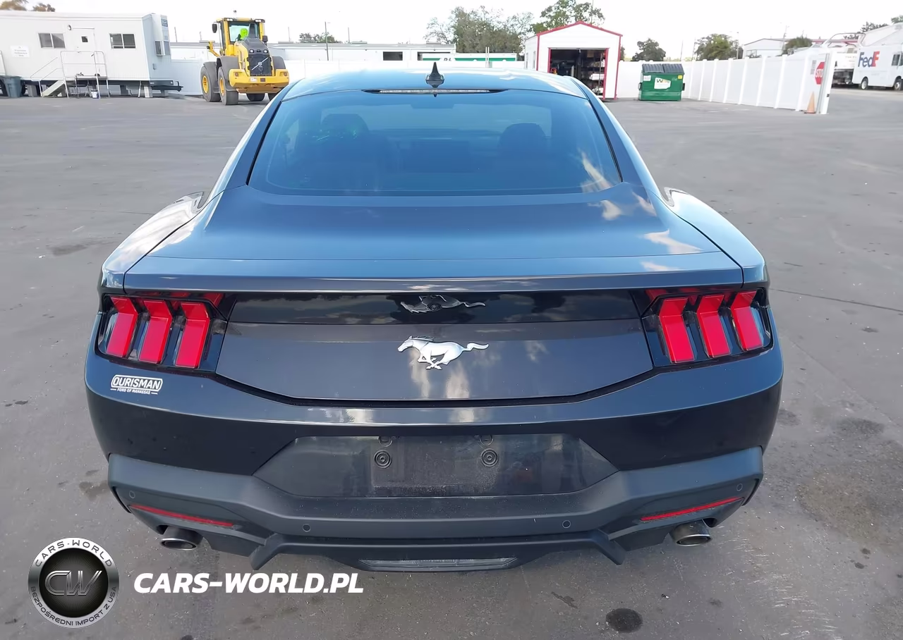 2024 Ford Mustang Ecoboost Fastback VIN:1FA6P8TH4R5109251 - 16