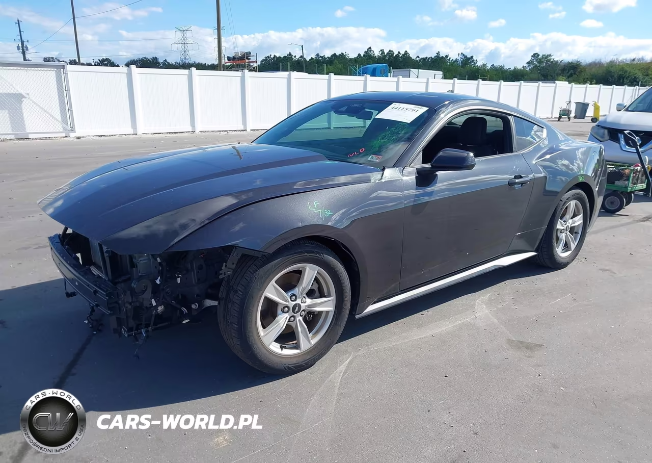 2024 Ford Mustang Ecoboost Fastback VIN:1FA6P8TH4R5109251 - 2
