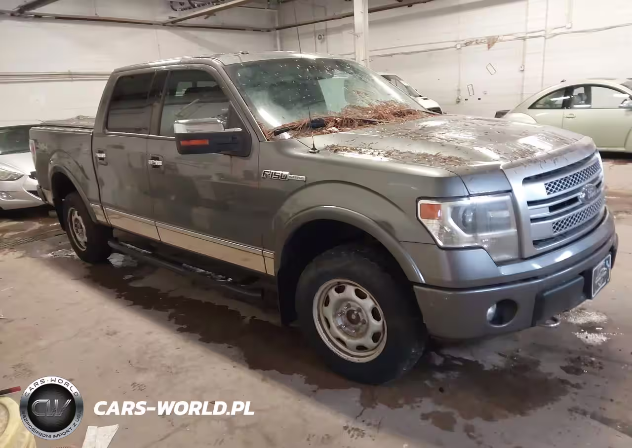 2013 Ford F-150 Platinum