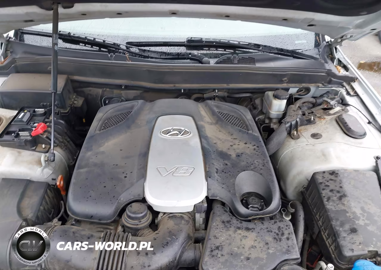 2009 Hyundai Genesis 4.6 VIN:KMHGC46F49U037935 - 10