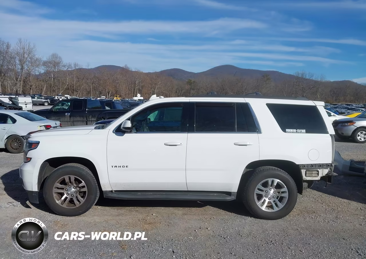 2017 Chevrolet Tahoe Ls VIN:1GNSKAKC9HR309884 - 15