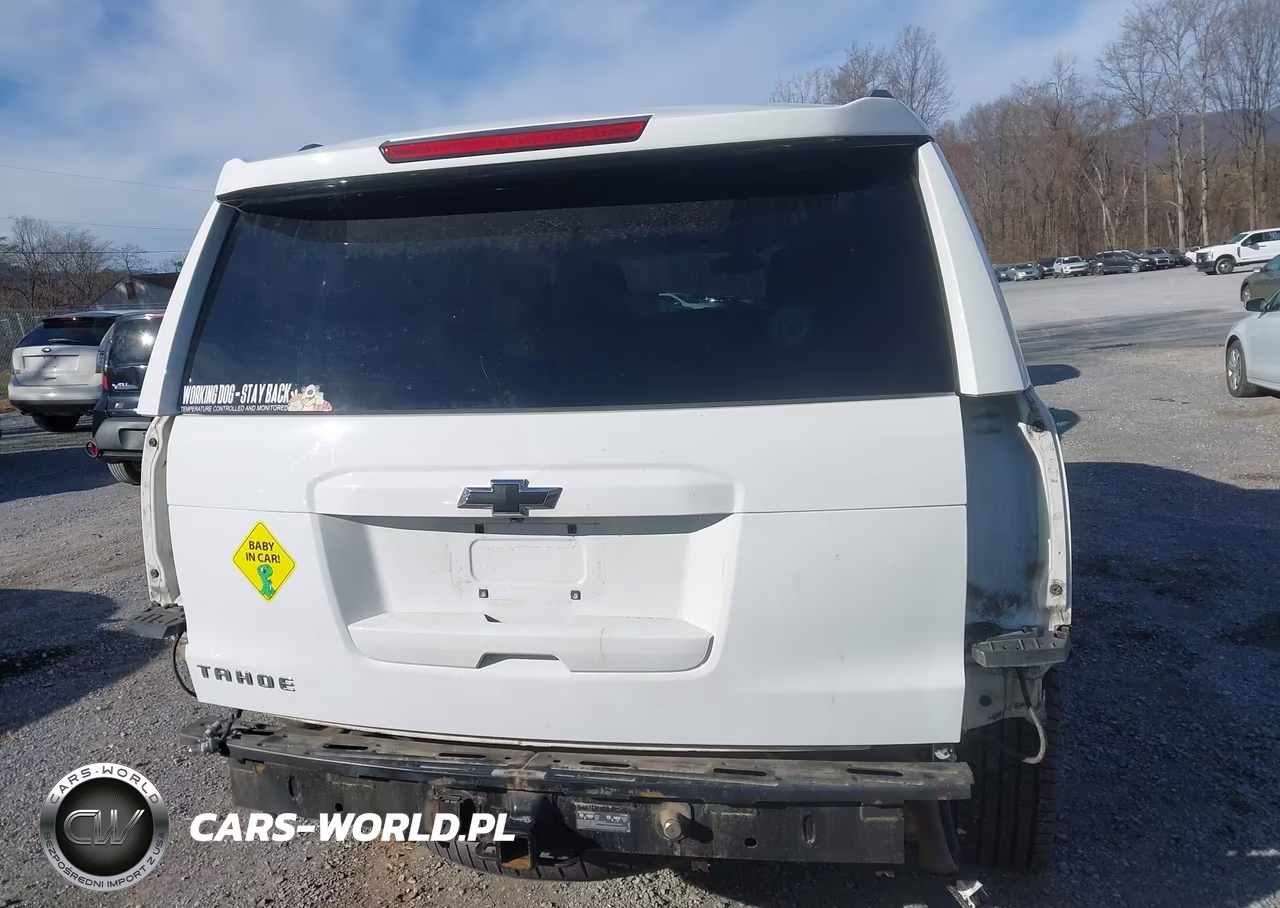 2017 Chevrolet Tahoe Ls VIN:1GNSKAKC9HR309884 - 17