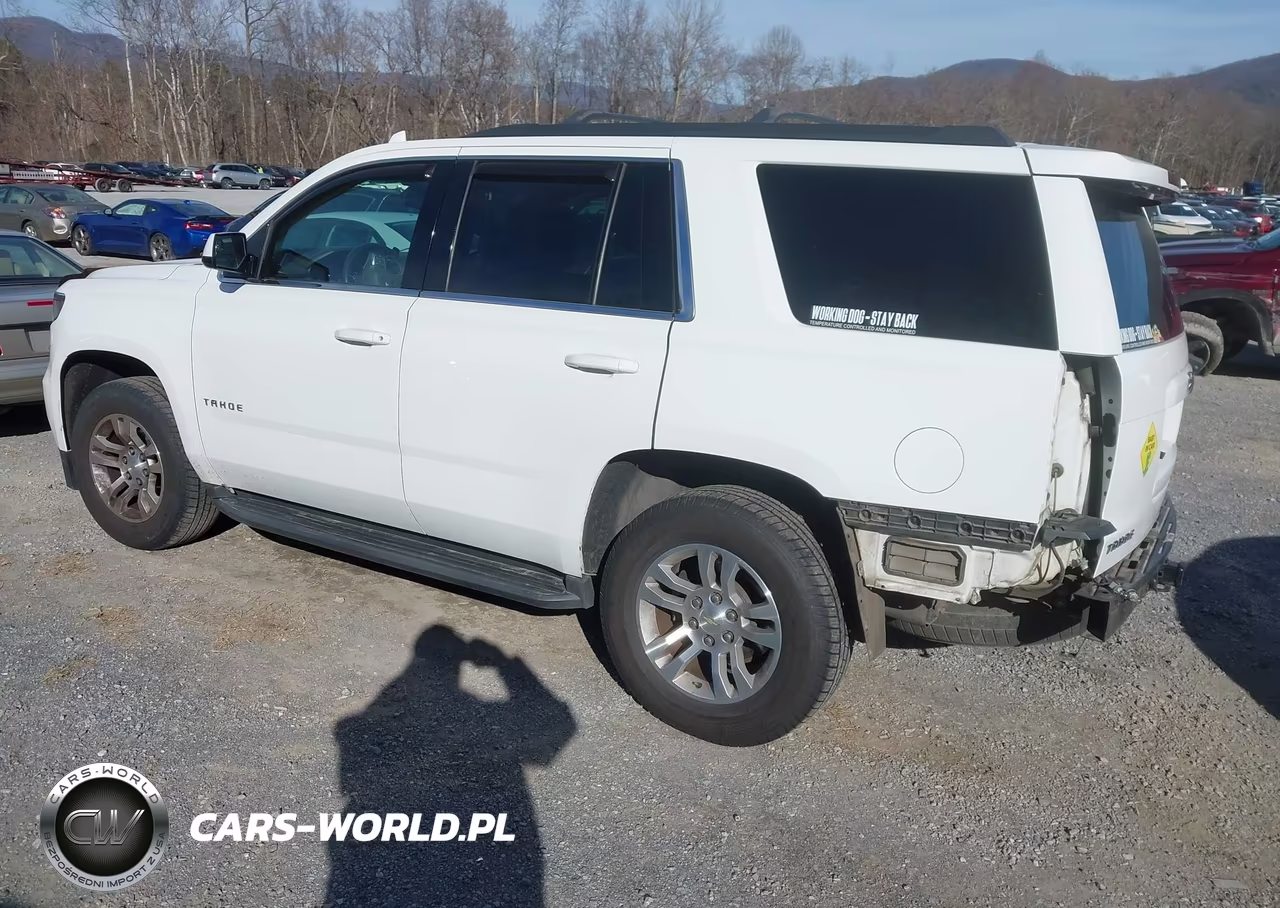 2017 Chevrolet Tahoe Ls VIN:1GNSKAKC9HR309884 - 3