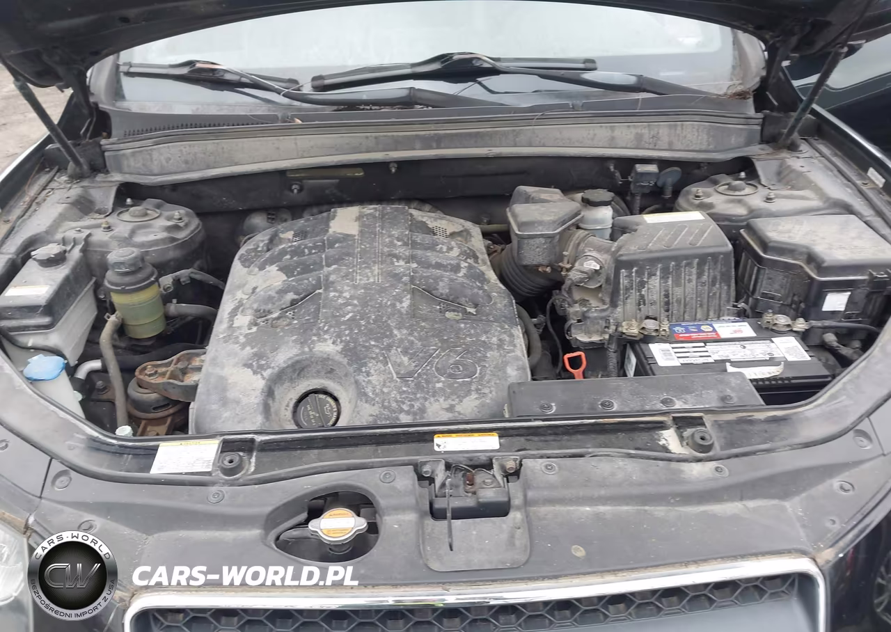 2008 Hyundai Santa Fe Limited-Se VIN:5NMSH13E98H218643 - 10