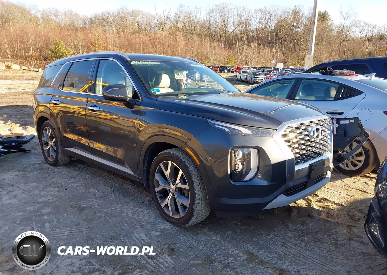 2020 Hyundai Palisade Sel