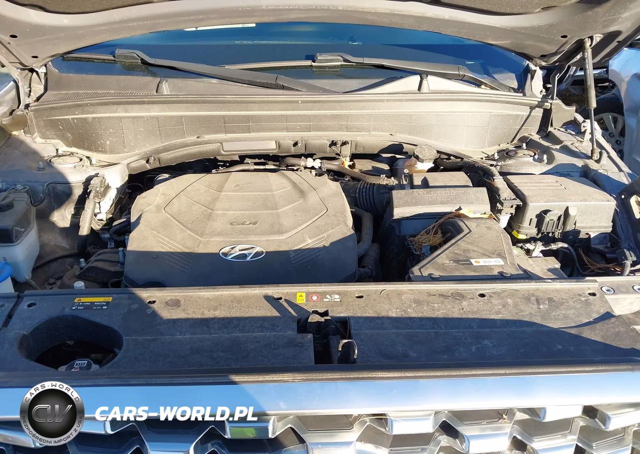 2020 Hyundai Palisade Sel VIN:KM8R4DHE2LU105490 - 10
