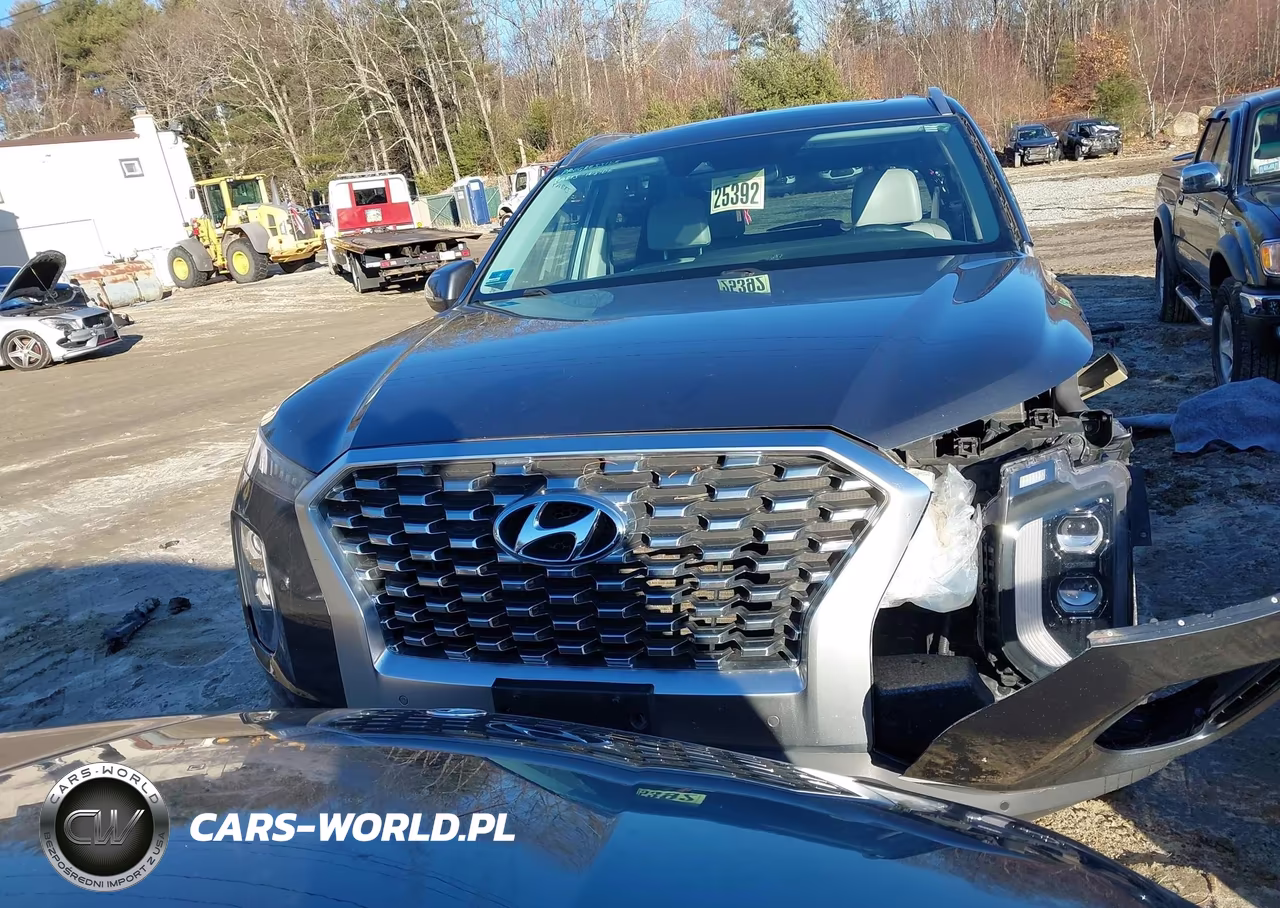 2020 Hyundai Palisade Sel VIN:KM8R4DHE2LU105490 - 13