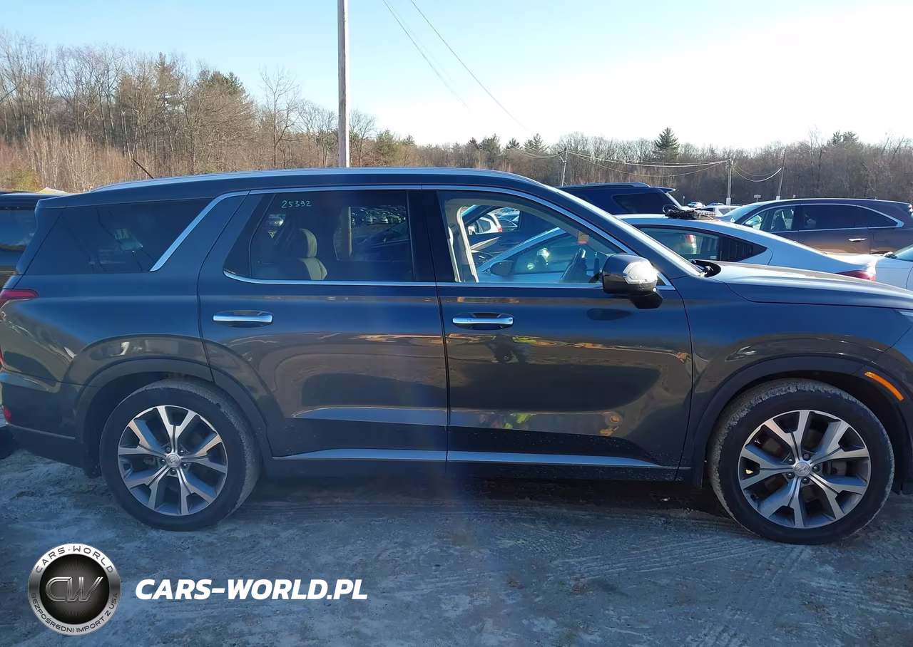2020 Hyundai Palisade Sel VIN:KM8R4DHE2LU105490 - 14