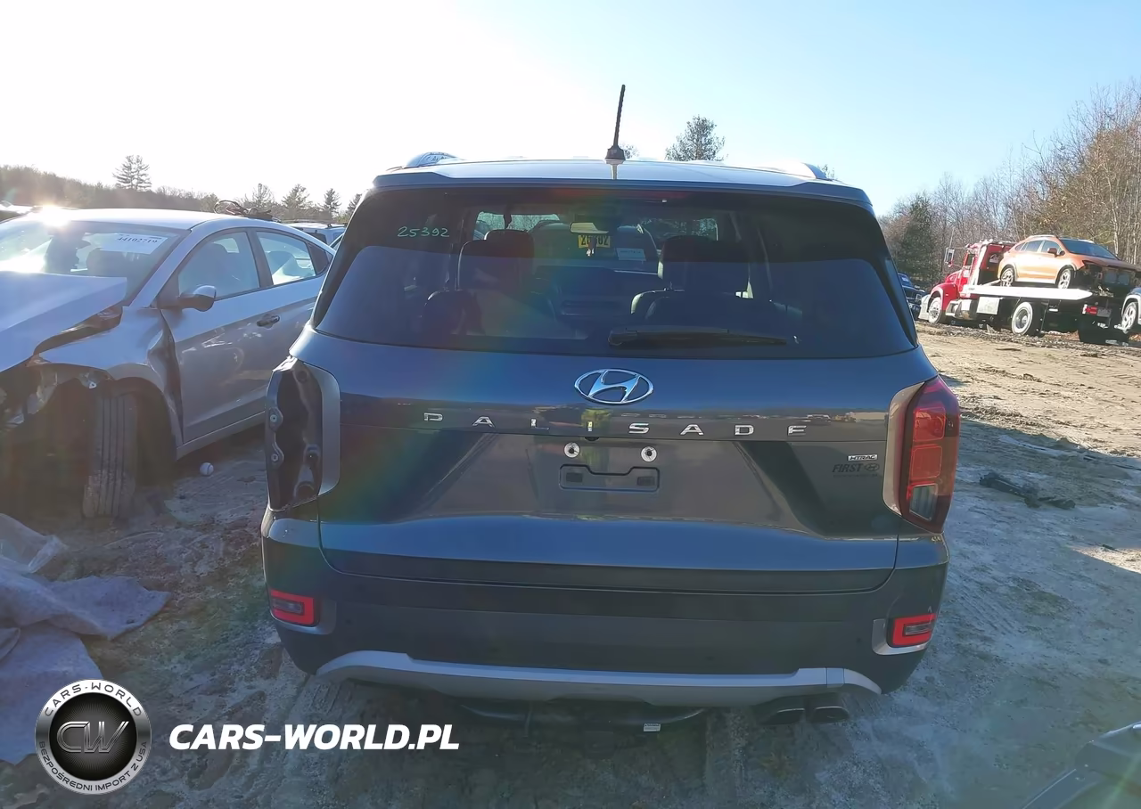 2020 Hyundai Palisade Sel VIN:KM8R4DHE2LU105490 - 17