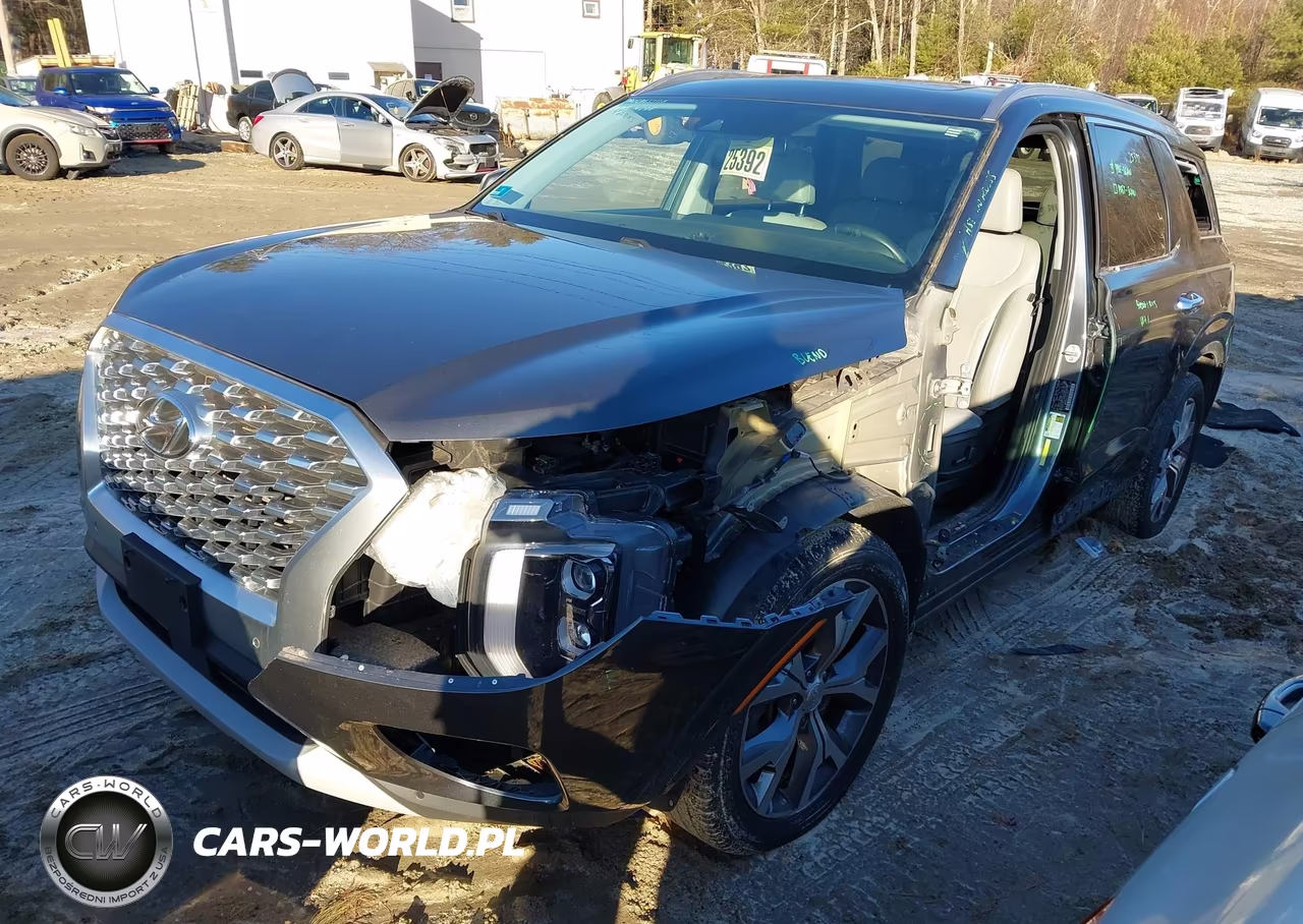2020 Hyundai Palisade Sel VIN:KM8R4DHE2LU105490 - 2