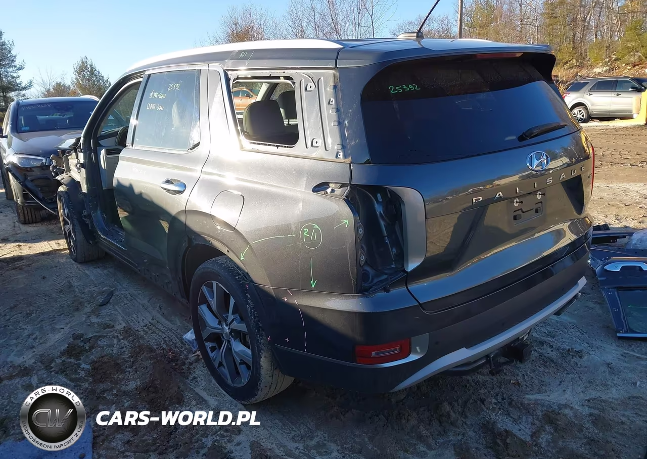 2020 Hyundai Palisade Sel VIN:KM8R4DHE2LU105490 - 3