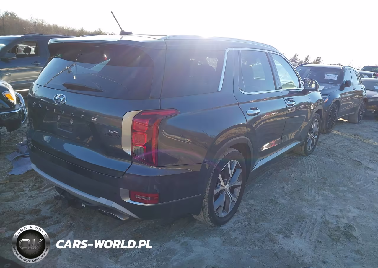 2020 Hyundai Palisade Sel VIN:KM8R4DHE2LU105490 - 4