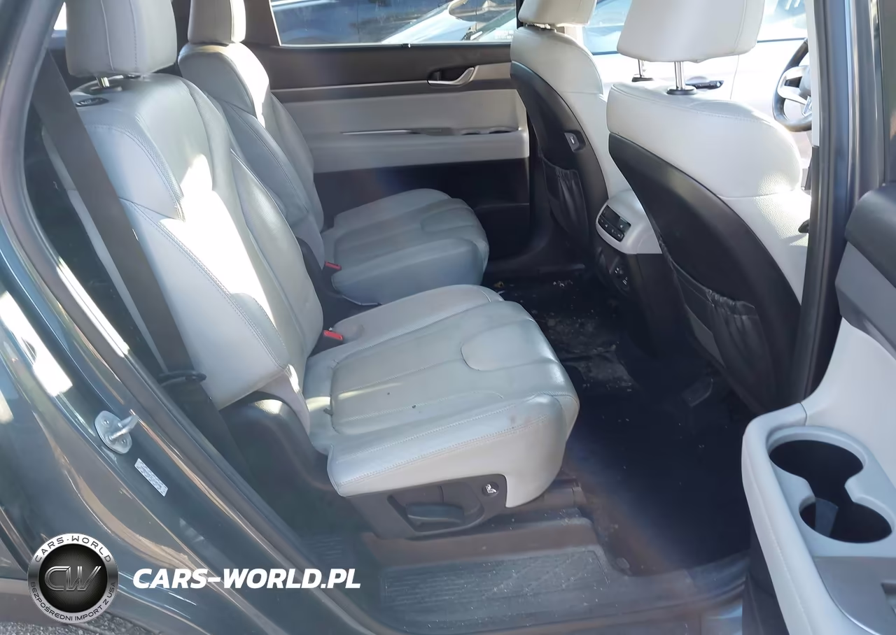 2020 Hyundai Palisade Sel VIN:KM8R4DHE2LU105490 - 8