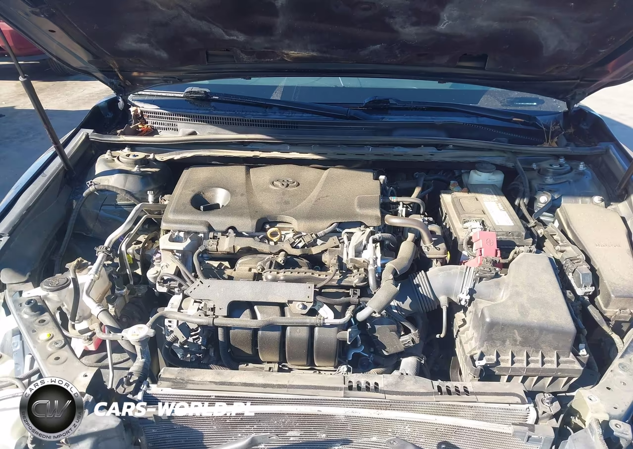 2018 Toyota Camry Se VIN:4T1B11HK2JU663979 - 10