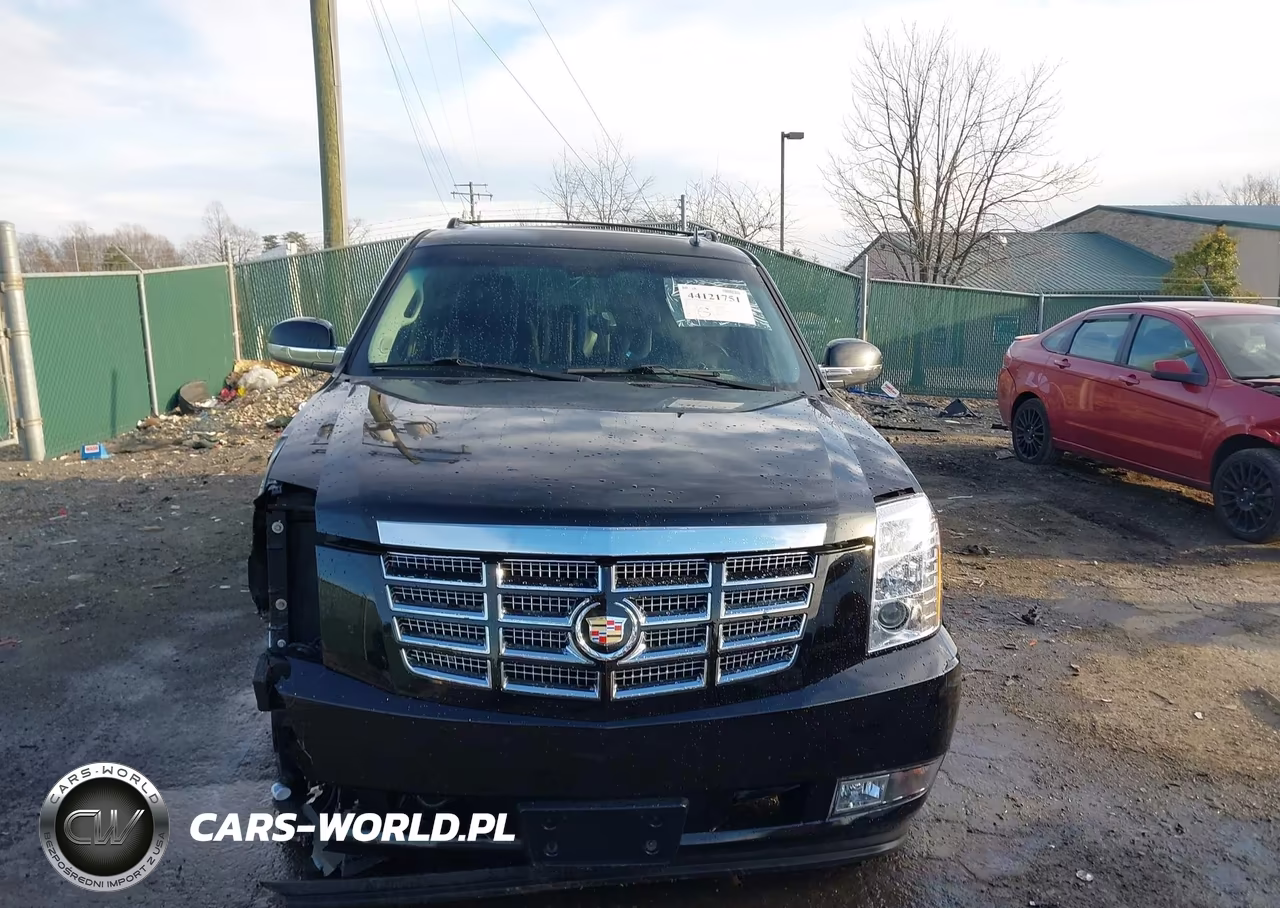 2014 Cadillac Escalade Esv Luxury VIN:1GYS4HEF4ER190066 - 12