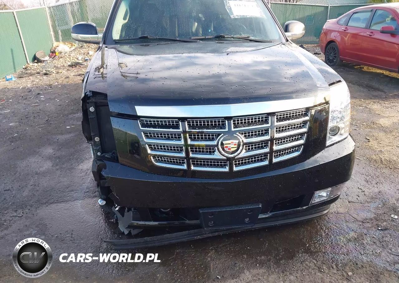 2014 Cadillac Escalade Esv Luxury VIN:1GYS4HEF4ER190066 - 17