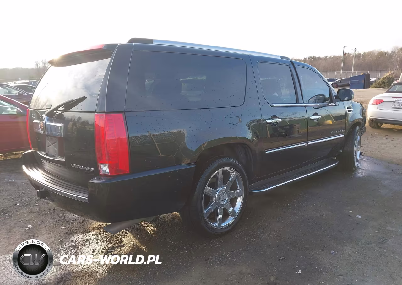 2014 Cadillac Escalade Esv Luxury VIN:1GYS4HEF4ER190066 - 4