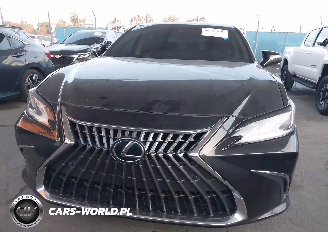 2023 Lexus Es 300H VIN:58ADA1C12PU027698 - 13