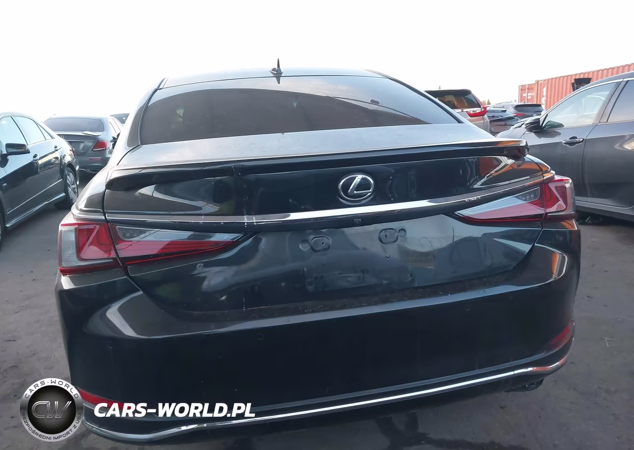 2023 Lexus Es 300H VIN:58ADA1C12PU027698 - 17