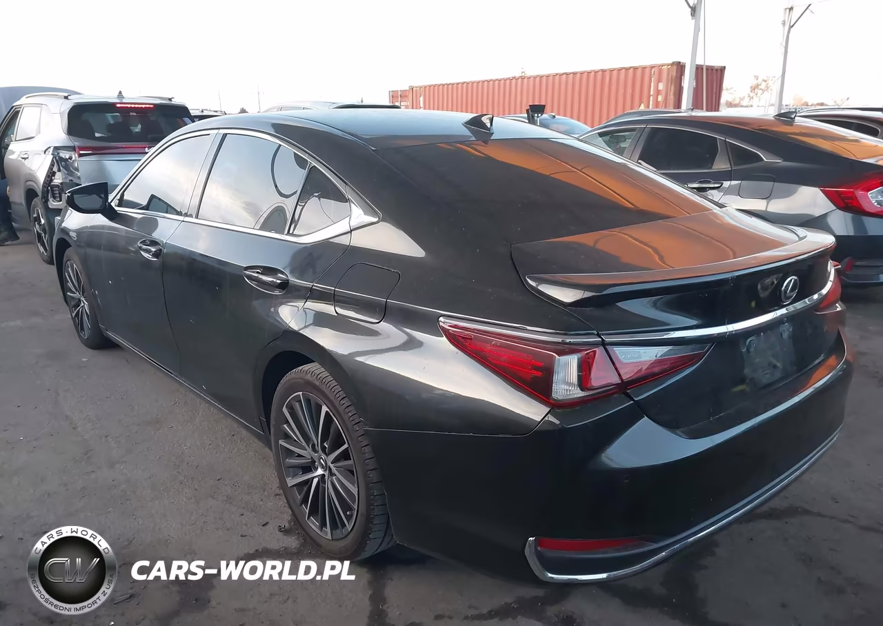 2023 Lexus Es 300H VIN:58ADA1C12PU027698 - 3