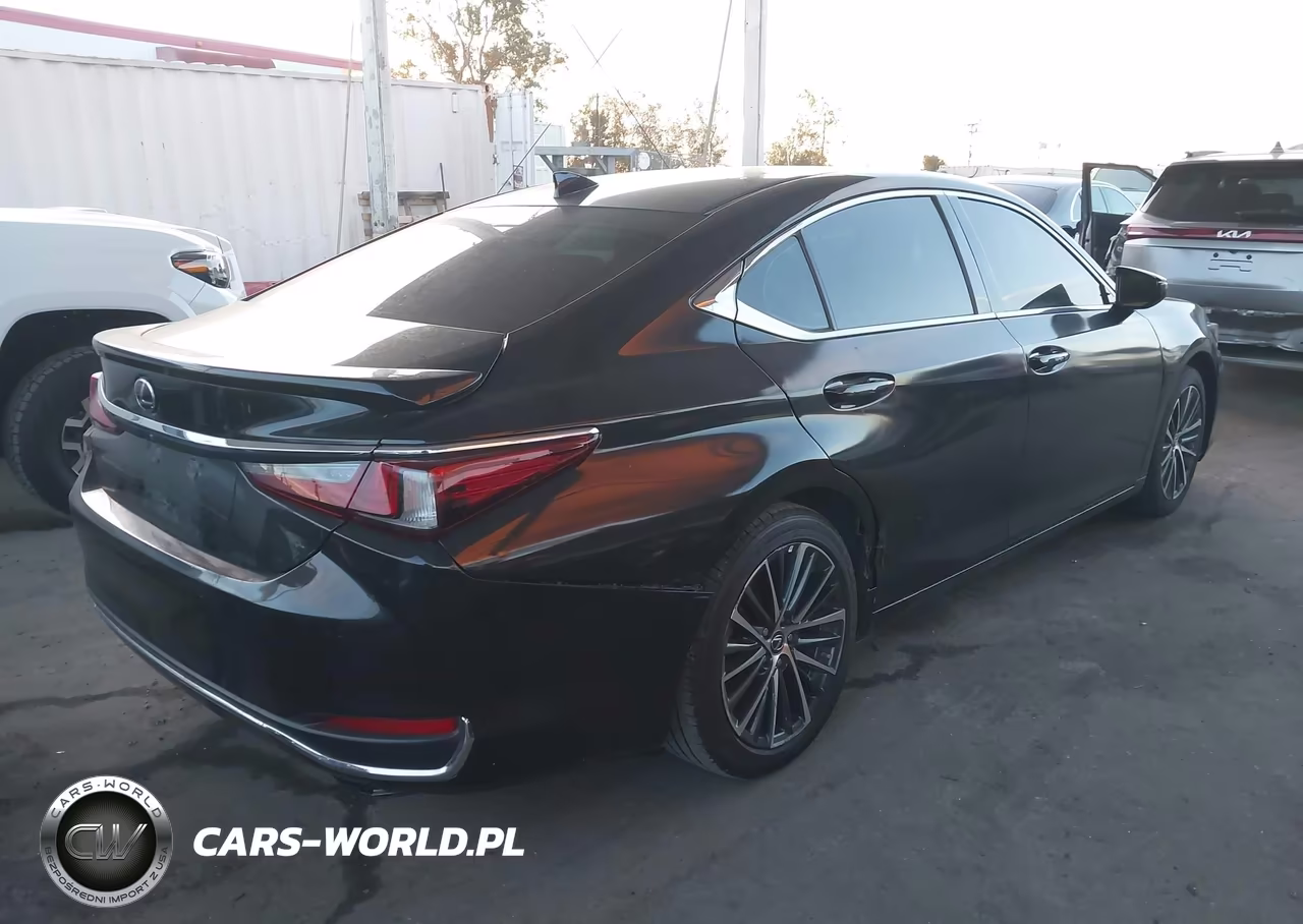 2023 Lexus Es 300H VIN:58ADA1C12PU027698 - 4