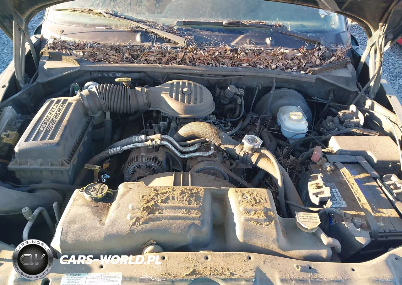2000 Dodge Dakota Slt-Sport VIN:1B7GL2AXXYS728955 - 10