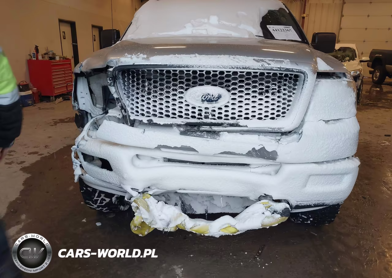 2006 Ford F-150 Fx4-Lariat-Xl-Xlt VIN:1FTPX145X6FA20932 - 6
