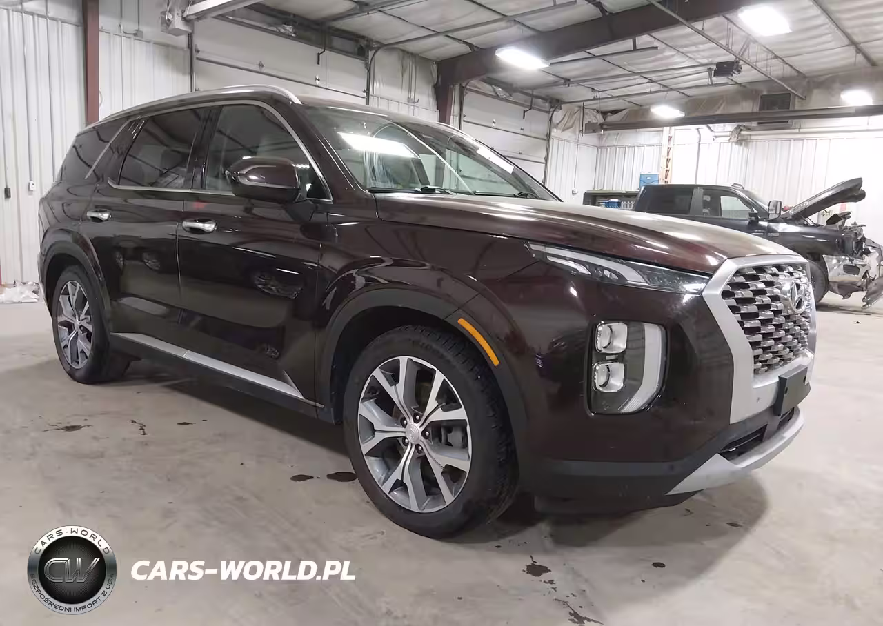 2020 Hyundai Palisade Sel