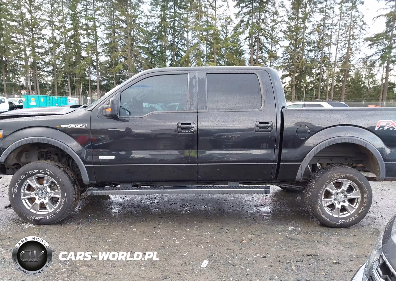 2014 Ford F-150 Fx4 VIN:1FTFW1ET8EKF81955 - 15